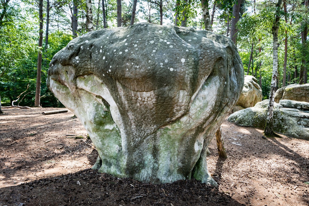 Fontainebleau